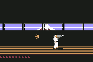 Karateka 16