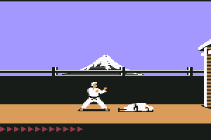 Karateka 8