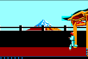 Karateka 9