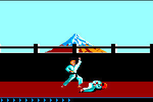 Karateka 10