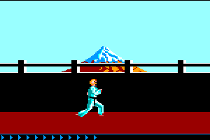 Karateka 8