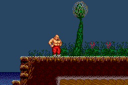 Karnov 11