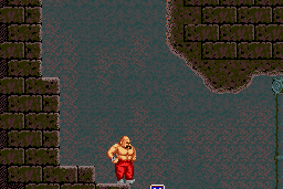 Karnov 5