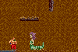 Karnov 8