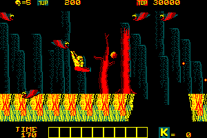Karnov 5