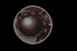 Killerball 14