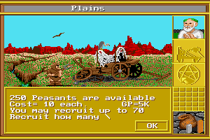 King's Bounty 10