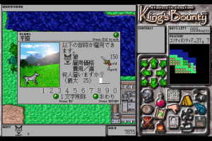 King's Bounty 14