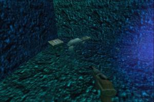 Kingsborn abandonware