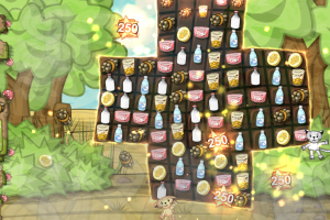 Kitten Sanctuary 15