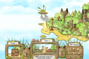 Kitten Sanctuary 5