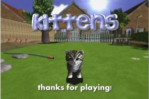 Kittens 10