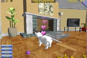 Kittens 7