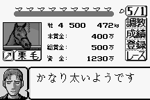 Kyōsōba Ikusei Simulation: KEIBA 10