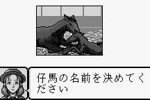 Kyōsōba Ikusei Simulation: KEIBA 14