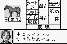 Kyōsōba Ikusei Simulation: KEIBA 6