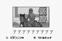 Kyōsōba Ikusei Simulation: KEIBA 8
