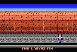 Labyrinth 5