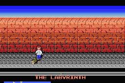 Labyrinth 6