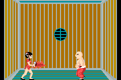 Lady Master of Kung Fu 4