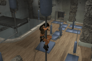 Lara Croft: Tomb Raider - Legend 9