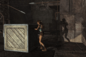 Lara Croft: Tomb Raider - Legend 13