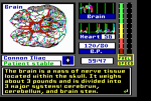 Laser Surgeon: The Microscopic Mission abandonware