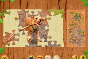 Lassie 3