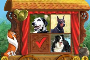 Lassie 5