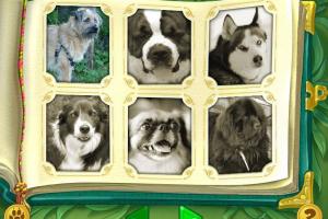 Lassie 7