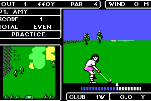 Lee Trevino's Fighting Golf 5