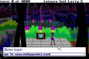 Leisure Suit Larry III: Passionate Patti in Pursuit of the Pulsating Pectorals abandonware