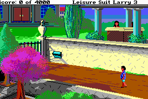 Leisure Suit Larry III: Passionate Patti in Pursuit of the Pulsating Pectorals 3