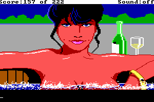 Leisure Suit Larry in the Land of the Lounge Lizards 9