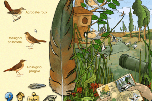 Les Oiseaux des Parcs et des Jardins 2