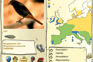 Les Oiseaux des Parcs et des Jardins 4