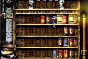 Library of the Ages 9