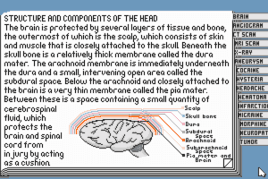 Life & Death II: The Brain 15