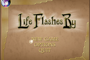 Life Flashes By 0