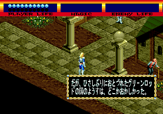 Light Crusader(ライトクルセイダー)【中古・genesis北米版】 テレビ