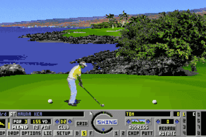 Links: Championship Course - Mauna Kea 11