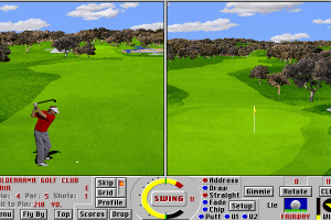 Links LS: Championship Course - Valderrama 11