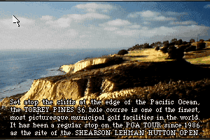 Links: The Challenge of Golf abandonware