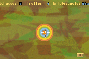 Lion's Help 13