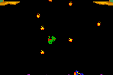 Lizard Wizard 5