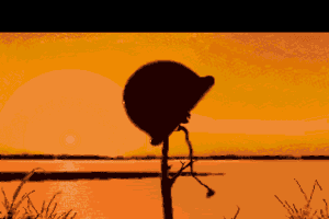 Lost Patrol 19