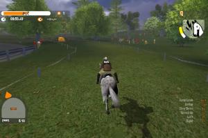 Lucinda Green's Equestrian Challenge 5