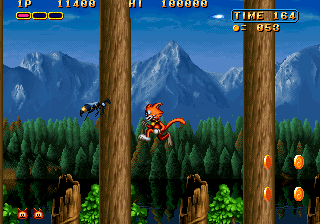 Magical Cat Adventure abandonware