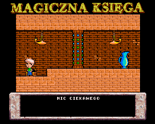 Magiczna Księga abandonware