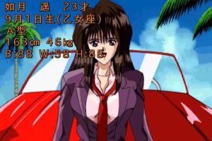 Mahjong Yonshimai: Wakakusa Monogatari 2